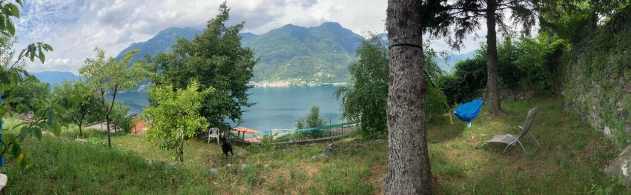 Reginaldo'S Home Nesso Buitenkant foto